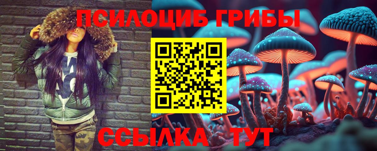 Шатура  купить наркотики цена  Вход с VPN  Галлюциногенные грибы мухоморы 